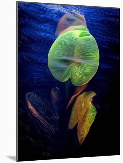 T_Lily2, 2021, (digital)-Scott J. Davis-Mounted Giclee Print