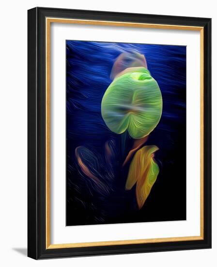 T_Lily2, 2021, (digital)-Scott J. Davis-Framed Giclee Print