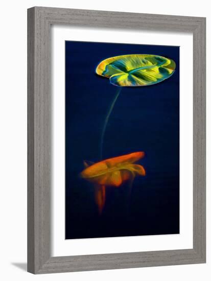 T_Lily3, 2021, (digital)-Scott J. Davis-Framed Giclee Print