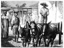 Street Scene, Haiti, 19th Century-T Wust-Giclee Print