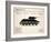 T34 Medium Tank-Mark Rogan-Framed Art Print