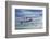 T6 Harvard Airplane-paul fleet-Framed Photographic Print