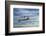 T6 Harvard Airplane-paul fleet-Framed Photographic Print