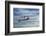 T6 Harvard Airplane-paul fleet-Framed Photographic Print