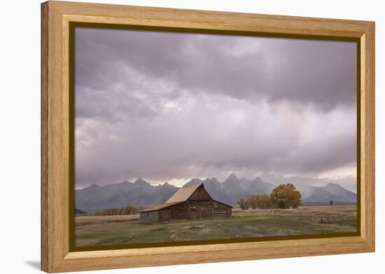 Ta Moulton Barn, Mormon Row, Grand Tetons National Park, Wyoming, United States of America-Gary Cook-Framed Premier Image Canvas