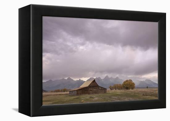 Ta Moulton Barn, Mormon Row, Grand Tetons National Park, Wyoming, United States of America-Gary Cook-Framed Premier Image Canvas