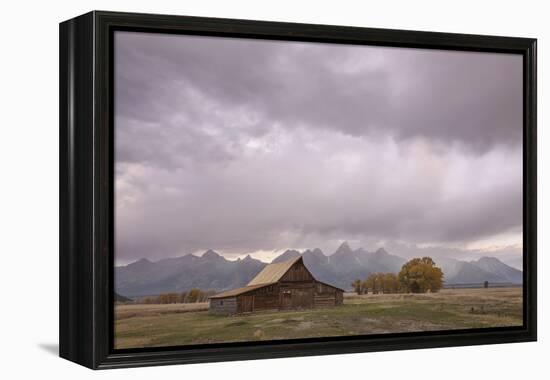 Ta Moulton Barn, Mormon Row, Grand Tetons National Park, Wyoming, United States of America-Gary Cook-Framed Premier Image Canvas