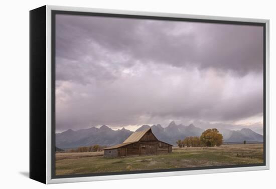 Ta Moulton Barn, Mormon Row, Grand Tetons National Park, Wyoming, United States of America-Gary Cook-Framed Premier Image Canvas