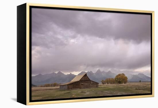 Ta Moulton Barn, Mormon Row, Grand Tetons National Park, Wyoming, United States of America-Gary Cook-Framed Premier Image Canvas