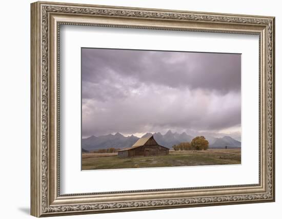 Ta Moulton Barn, Mormon Row, Grand Tetons National Park, Wyoming, United States of America-Gary Cook-Framed Photographic Print