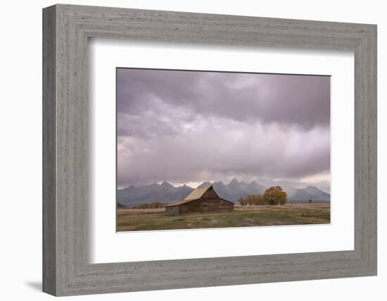 Ta Moulton Barn, Mormon Row, Grand Tetons National Park, Wyoming, United States of America-Gary Cook-Framed Photographic Print