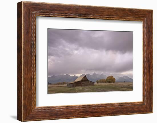 Ta Moulton Barn, Mormon Row, Grand Tetons National Park, Wyoming, United States of America-Gary Cook-Framed Photographic Print