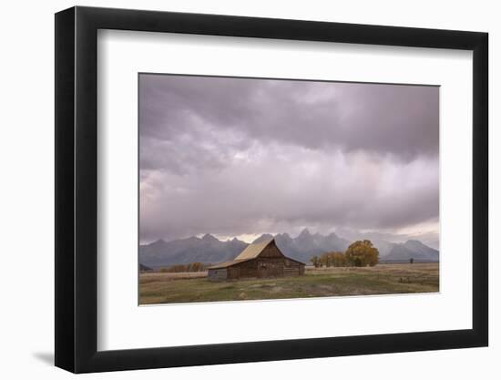 Ta Moulton Barn, Mormon Row, Grand Tetons National Park, Wyoming, United States of America-Gary Cook-Framed Photographic Print