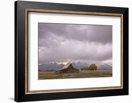 Ta Moulton Barn, Mormon Row, Grand Tetons National Park, Wyoming, United States of America-Gary Cook-Framed Photographic Print