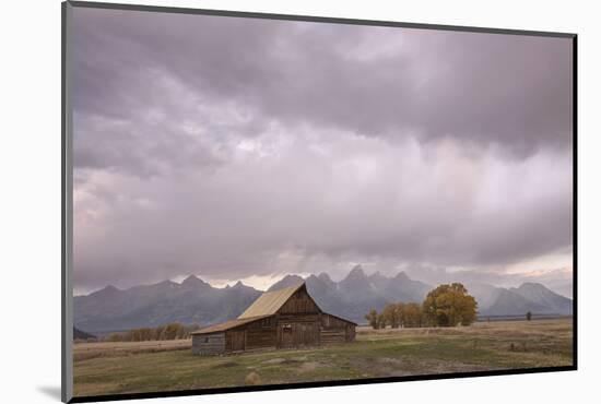 Ta Moulton Barn, Mormon Row, Grand Tetons National Park, Wyoming, United States of America-Gary Cook-Mounted Photographic Print