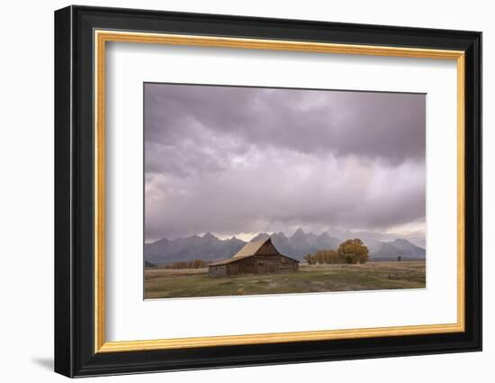 Ta Moulton Barn, Mormon Row, Grand Tetons National Park, Wyoming, United States of America-Gary Cook-Framed Photographic Print