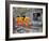 Ta Phrohm Temple, Angkor Wat, Siem Reap, Cambodia-Gavin Hellier-Framed Photographic Print