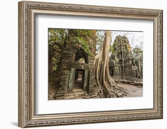 Ta Prohm Temple, Being Destroyed by Jungle Growth, Angkor, UNESCO World Heritage Site, Cambodia-Michael Nolan-Framed Photographic Print