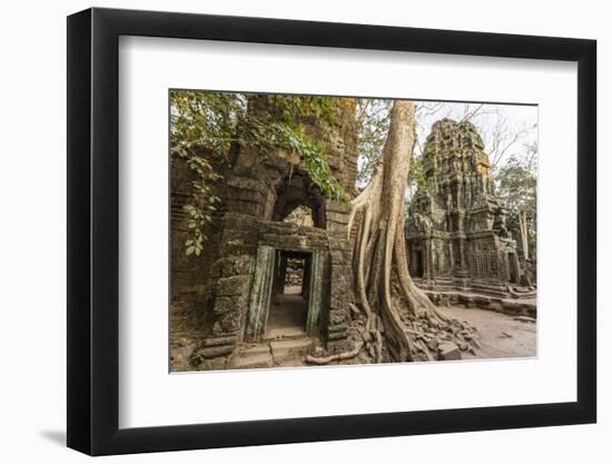 Ta Prohm Temple, Being Destroyed by Jungle Growth, Angkor, UNESCO World Heritage Site, Cambodia-Michael Nolan-Framed Photographic Print