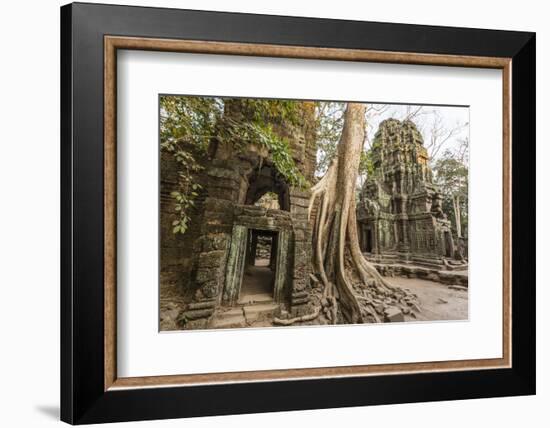 Ta Prohm Temple, Being Destroyed by Jungle Growth, Angkor, UNESCO World Heritage Site, Cambodia-Michael Nolan-Framed Photographic Print