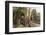 Ta Prohm Temple, Being Destroyed by Jungle Growth, Angkor, UNESCO World Heritage Site, Cambodia-Michael Nolan-Framed Photographic Print