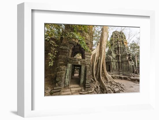 Ta Prohm Temple, Being Destroyed by Jungle Growth, Angkor, UNESCO World Heritage Site, Cambodia-Michael Nolan-Framed Photographic Print