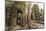 Ta Prohm Temple, Being Destroyed by Jungle Growth, Angkor, UNESCO World Heritage Site, Cambodia-Michael Nolan-Mounted Photographic Print