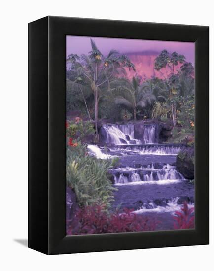 Tabacon Hot Springs, Arenal Volcano, Costa Rica-Nik Wheeler-Framed Premier Image Canvas