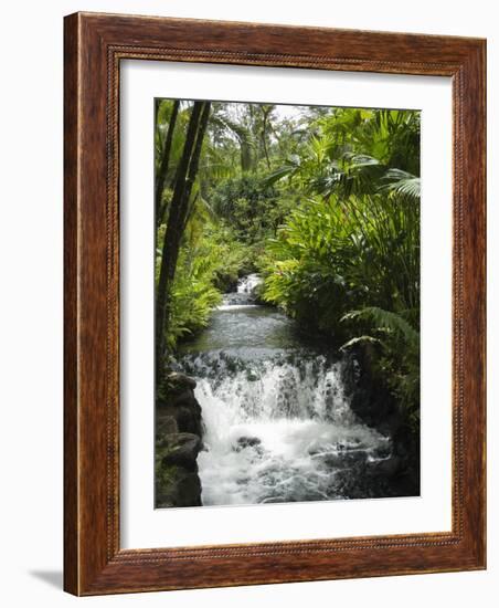 Tabacon Hot Springs, Volcanic Hot Springs Fed from the Arenal Volcano, Arenal, Costa Rica-R H Productions-Framed Photographic Print