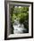 Tabacon Hot Springs, Volcanic Hot Springs Fed from the Arenal Volcano, Arenal, Costa Rica-R H Productions-Framed Photographic Print