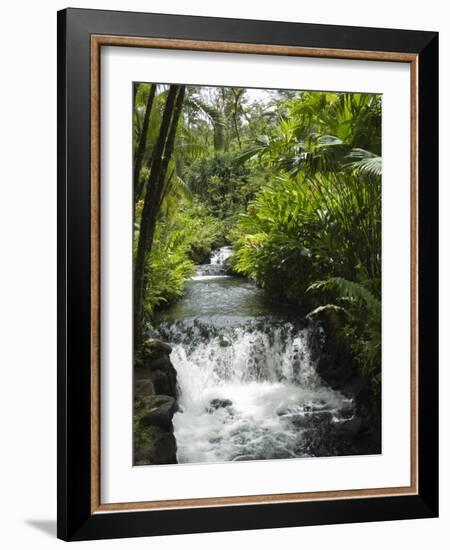 Tabacon Hot Springs, Volcanic Hot Springs Fed from the Arenal Volcano, Arenal, Costa Rica-R H Productions-Framed Photographic Print