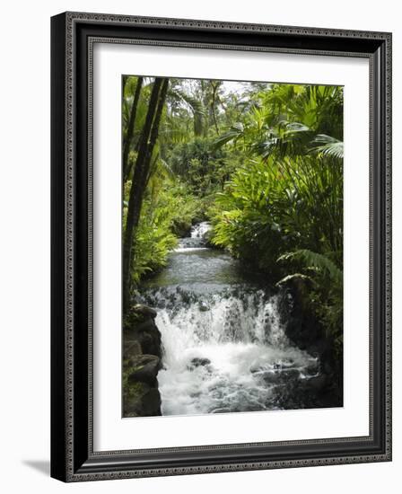 Tabacon Hot Springs, Volcanic Hot Springs Fed from the Arenal Volcano, Arenal, Costa Rica-R H Productions-Framed Photographic Print