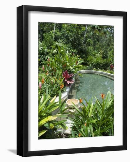 Tabacon Hot Springs, Volcanic Hot Springs Fed from the Arenal Volcano, Arenal, Costa Rica-R H Productions-Framed Photographic Print