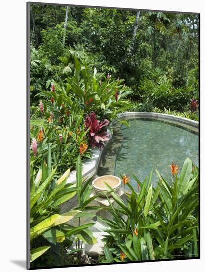 Tabacon Hot Springs, Volcanic Hot Springs Fed from the Arenal Volcano, Arenal, Costa Rica-R H Productions-Mounted Photographic Print