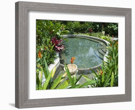 Tabacon Hot Springs, Volcanic Hot Springs Fed from the Arenal Volcano, Arenal, Costa Rica-R H Productions-Framed Photographic Print