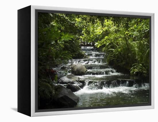 Tabacon Hot Springs, Volcanic Hot Springs Fed from the Arenal Volcano, Arenal, Costa Rica-Robert Harding-Framed Premier Image Canvas