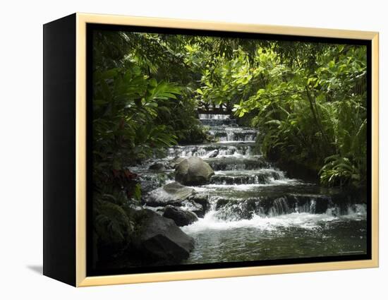 Tabacon Hot Springs, Volcanic Hot Springs Fed from the Arenal Volcano, Arenal, Costa Rica-Robert Harding-Framed Premier Image Canvas