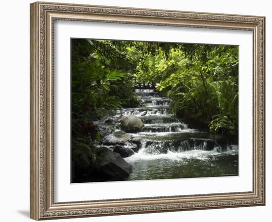 Tabacon Hot Springs, Volcanic Hot Springs Fed from the Arenal Volcano, Arenal, Costa Rica-Robert Harding-Framed Photographic Print