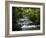 Tabacon Hot Springs, Volcanic Hot Springs Fed from the Arenal Volcano, Arenal, Costa Rica-Robert Harding-Framed Photographic Print