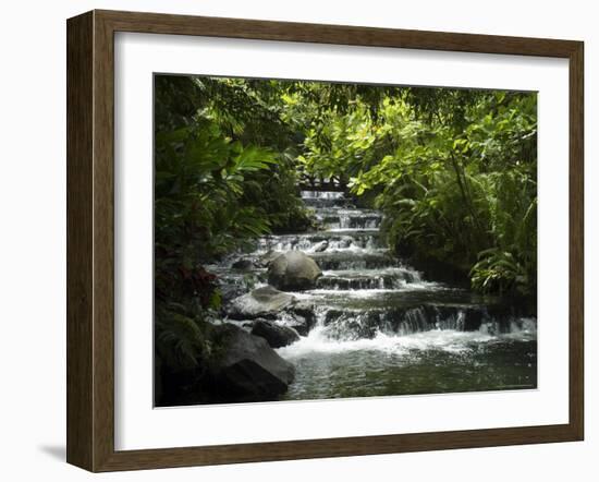 Tabacon Hot Springs, Volcanic Hot Springs Fed from the Arenal Volcano, Arenal, Costa Rica-Robert Harding-Framed Photographic Print