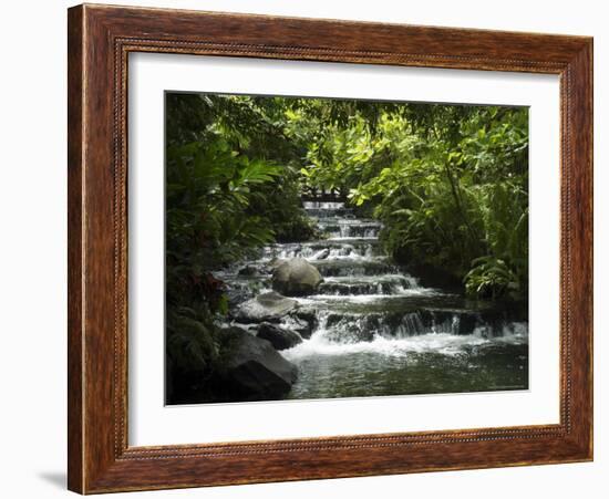 Tabacon Hot Springs, Volcanic Hot Springs Fed from the Arenal Volcano, Arenal, Costa Rica-Robert Harding-Framed Photographic Print