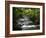 Tabacon Hot Springs, Volcanic Hot Springs Fed from the Arenal Volcano, Arenal, Costa Rica-Robert Harding-Framed Photographic Print