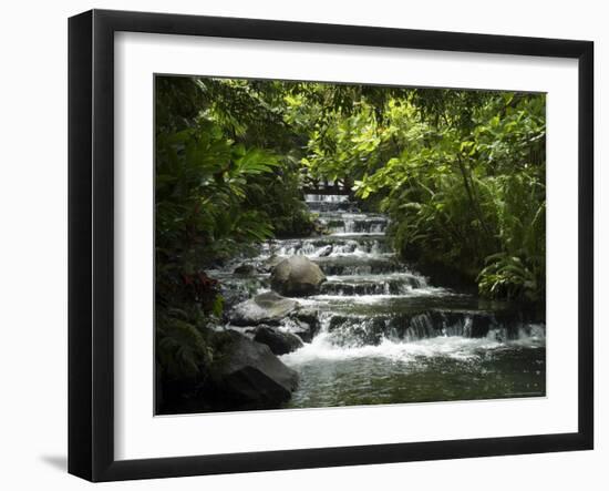 Tabacon Hot Springs, Volcanic Hot Springs Fed from the Arenal Volcano, Arenal, Costa Rica-Robert Harding-Framed Photographic Print