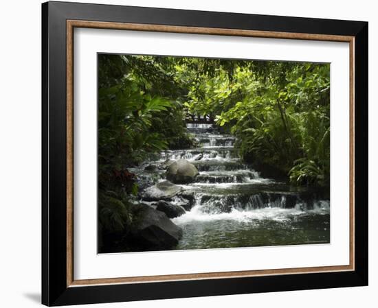 Tabacon Hot Springs, Volcanic Hot Springs Fed from the Arenal Volcano, Arenal, Costa Rica-Robert Harding-Framed Photographic Print