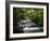 Tabacon Hot Springs, Volcanic Hot Springs Fed from the Arenal Volcano, Arenal, Costa Rica-Robert Harding-Framed Photographic Print