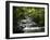 Tabacon Hot Springs, Volcanic Hot Springs Fed from the Arenal Volcano, Arenal, Costa Rica-Robert Harding-Framed Photographic Print