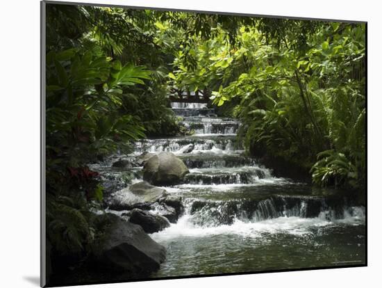 Tabacon Hot Springs, Volcanic Hot Springs Fed from the Arenal Volcano, Arenal, Costa Rica-Robert Harding-Mounted Photographic Print
