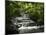 Tabacon Hot Springs, Volcanic Hot Springs Fed from the Arenal Volcano, Arenal, Costa Rica-Robert Harding-Mounted Photographic Print