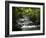 Tabacon Hot Springs, Volcanic Hot Springs Fed from the Arenal Volcano, Arenal, Costa Rica-Robert Harding-Framed Photographic Print