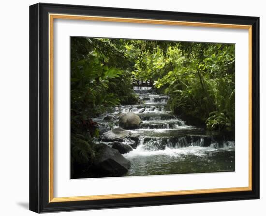 Tabacon Hot Springs, Volcanic Hot Springs Fed from the Arenal Volcano, Arenal, Costa Rica-Robert Harding-Framed Photographic Print